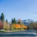 The Allure of Danville, CA: A Real Estate Expert's Perspective